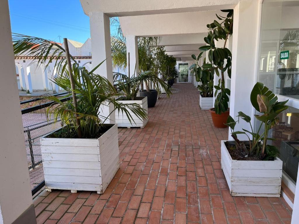 Hotel La Alcoholera Villaviciosa de Cordoba Екстер'єр фото